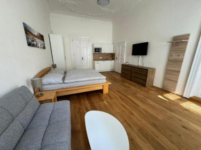 Palackeho Apartment